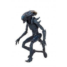 Alien vs Predator Action Figure 20 cm - Arachnoid Alien
